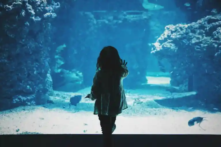 若草」「六花」吉澤嘉代子コンセプトアルバムの至高の3曲 | ten